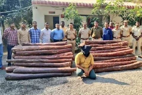 The accused identified as Arif, 46, a resident of Delhi, was involved in smuggling the redwood