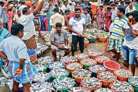 Kasimedu market