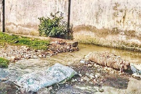 Sewage-mixed water of the lake.