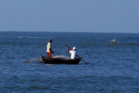 Representative Image (Image Credit;ANI)