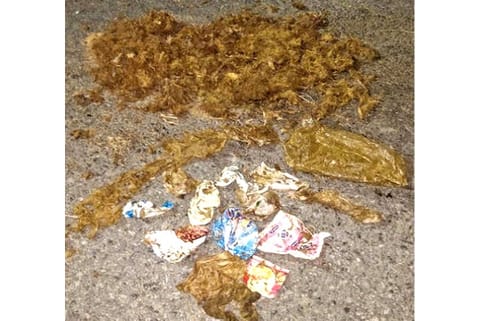 Plastic waste in dung