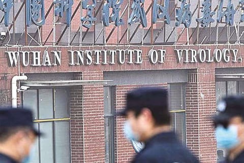 Wuhan Institute of Virology (WIV)