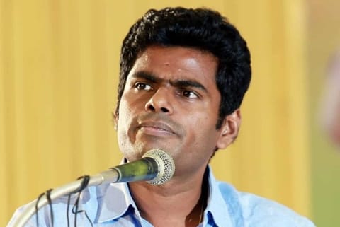 TN BJP chief Annamalai. File photo
