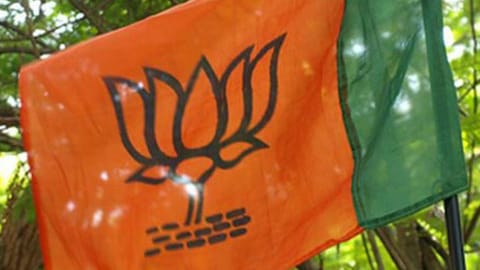 BJP party flag