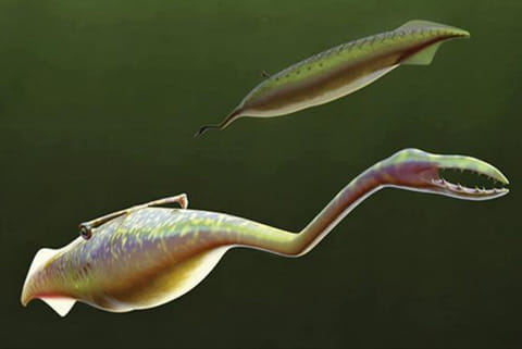 Artist?s reconstruction of the ancient Tully Monster as it would have looked 300 million years ago