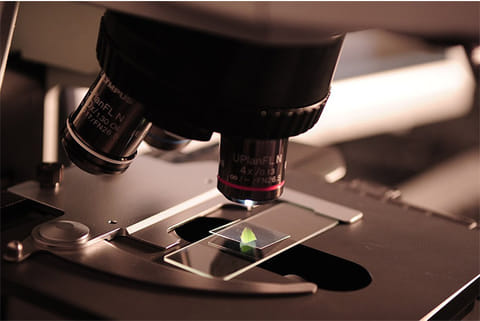 REVEALER is available for free to the global scientific community (Representative Image)