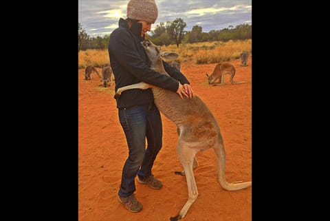 Video of rescued kangaroo hugging her rescuers every day goes viral