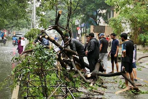 File photo of the devastation caused by cyclone vardah