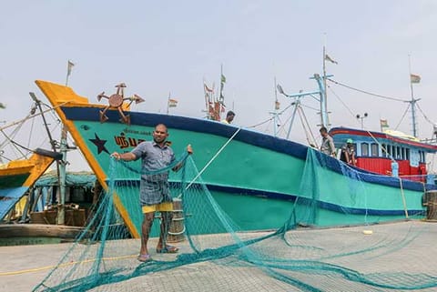 Nets being checked at Kasimedu fishing harbour
