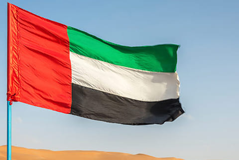 UAE flag