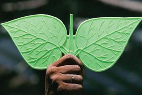 Two Leaves symbol