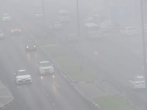 Fog and mist causes low visibility in Abu Dhabi.
