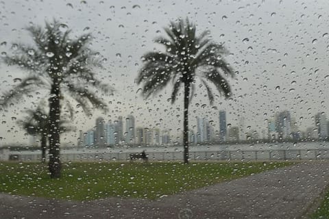 Humidity will increase overnight and during the early hours, especially in internal and western areas.