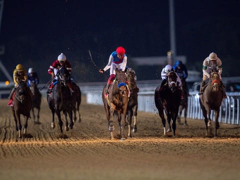 The Dubai World Cup is back on Saturday!