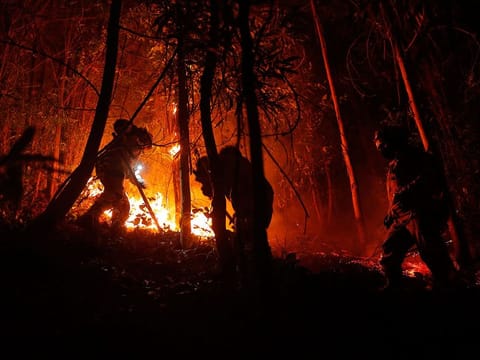 Wildfires have severely impacted south-central Chile in recent years.