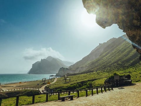 Skip the expensive flights, bus tours from Dubai to Salalah offer comfort, guided sightseeing, and great value this summer.