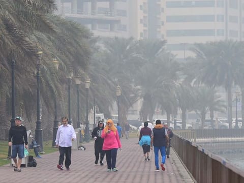 Fog alerts in UAE: Drive safely as visibility drops