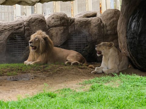 The sixth season introduced a range of attractions that captivated audiences.
