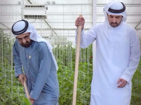 A screenshot from the video showing Sheikh Mohammed and Sheikh Hamdan planting a tree.