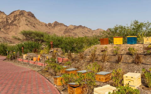 The attraction is home to 300 active beehives and also breeds almost 5,000 queen bees annually