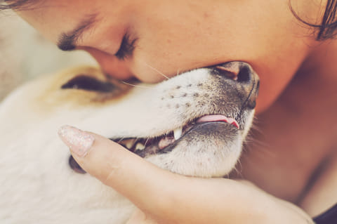 We tend to blame ourselves after our pets pass away and dwell on what we didn't do: This is a painful rut, as psychologists say. Be a little kind to yourself during these times.