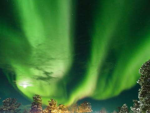 The Aurora Borealis (Northern Lights) is seen in the sky of Finland.