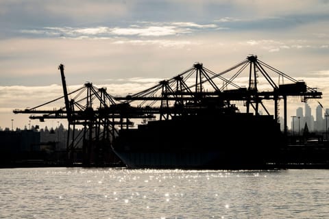 Some economists predict the US tariff's hit on the global economy could be "big".