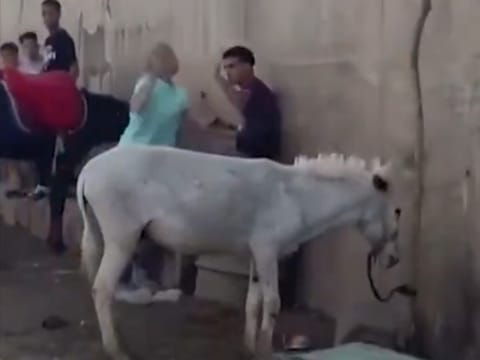 The confrontation sparked widespread outrage online and prompted an official investigation by Egyptian authorities.