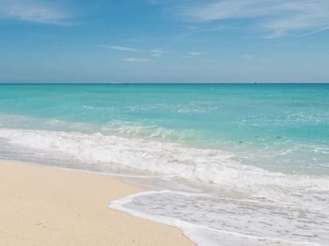 The water at Saadiyat Beach is very easy to enter, with calm waters and a sandy bottom.