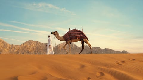 Sharjah's Mleiha is not just a site of ancient ruins, it is a cradle of civilisation, quietly transforming how we understand the origins of our species