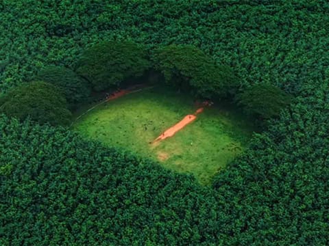 Kerala’s hidden cricket ground goes viral for its Amazon-like beauty