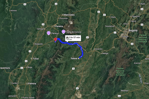 Google Maps