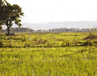 The villagers have been opposing the proposal to establish the ethanol plant. They urged authorities to cancel the permission given to the company.