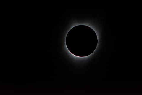 In this NASA handout, the Sun's corona, only visible during the total eclipse, is shown as a crown of white flares from the surface during a total solar eclipse.