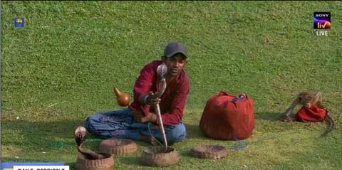 Sri Lanka v Bangladesh Test: Man with snake, monkey takes spotlight