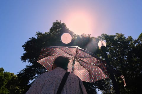 WMO warns strong El Nino likely from mid-2026, driving global heat and rainfall shifts