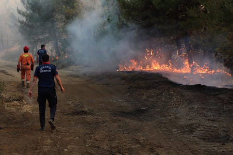 This handout photograph taken and released on June 30, 2025 by Turkish news agency DHA (Demiroren News Agency) shows firefighters working to extinguish wildfire in Sakarya.