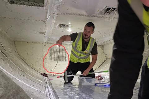 In thit photo released by The Snake Hunter, snake handler Mark Pelley lifts a a harmless 60-centimeter (2-foot) green tree snake in the cargo hold of a plane at Melbourne Airport, Tuesday, July 1, 2025.