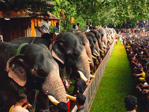 From dawn, people of all ages poured into the temple premises to witness and take part in the centuries-old ritual.