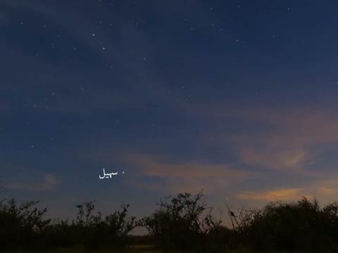 Suhail star rises over Arabian Peninsula, marking the end of summer’s heat