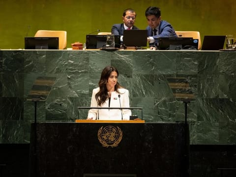 Lana Zaki Nusseibeh, Minister of State