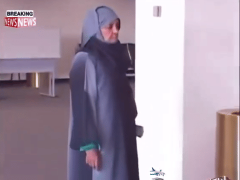 A viral video showed a woman allegedly arriving at New York’s JFK Airport from Tokyo holding a passport from a mysterious country called "Torenza."