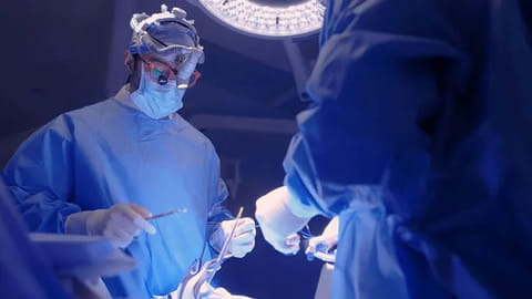 A multidisciplinary team of physicians, surgeons, and specialized support staff provides coordinated care.