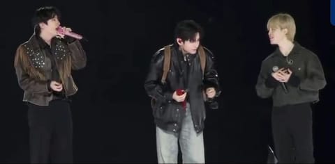 BTS' Jin, Jimin and V sang Spring Day at Jin's last concert tour.