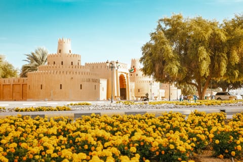 Al Ain's winter: How to make the most of the UAE's coldest spot