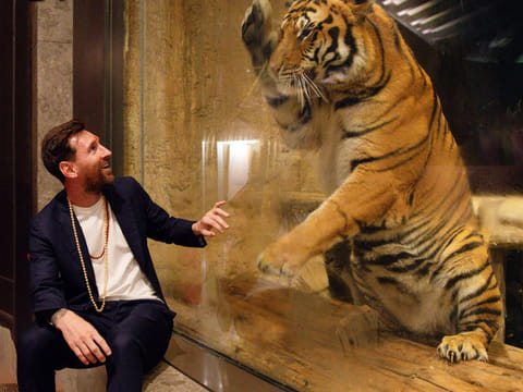 Lionel Messi at Vantara. Tour organiser reveals Messi’s ₹890 million payment amid Kolkata chaos