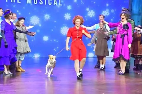 Brody, a gentle desert mix who once relied on passing visitors for food, played Sandy in the production showcased at Dubai's Zabeel Theatre.