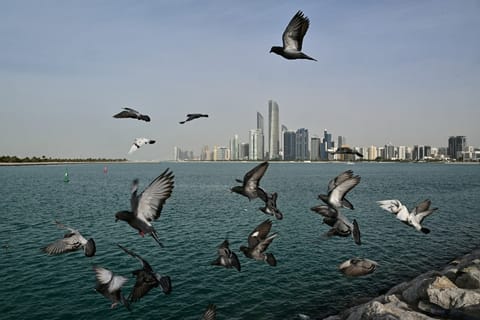 A view of Abu Dhabi skyline.