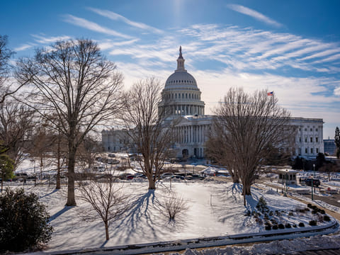 The Capitol