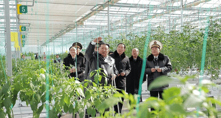 North Korean leader Kim Jong-un attended the ceremony inaugurating the Sinuiju Combined Greenhouse Farm the previous day, around one year after the groundbreaking ceremony was held in February 2025.